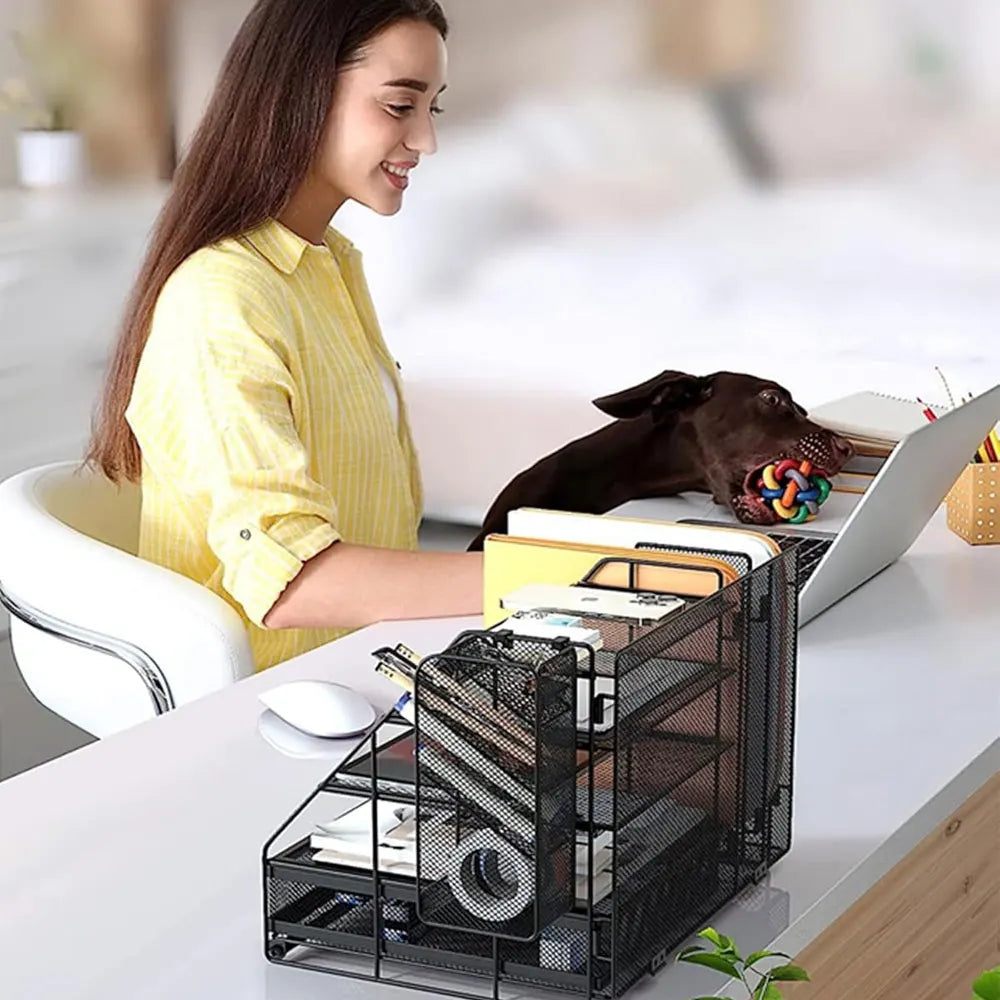 1PC Grid Desktop Organizer, 5-Layer Paper Tray with Extra Vertical File Sorter, Sliding Drawer and Pen Holder, Black Iron Mesh.