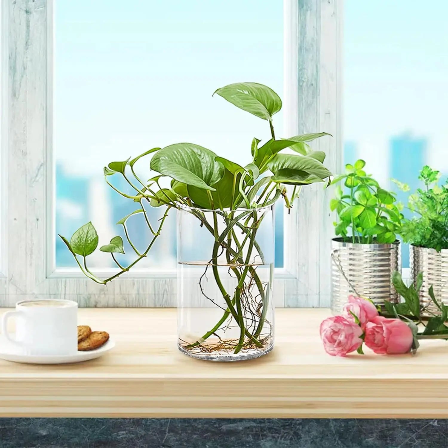 4 Pcs Acrylic Pen Holders, Clear Thick Pencil Cup, Round Makeup Brush Holder, Desktop Organizer for Office School Home Supplies